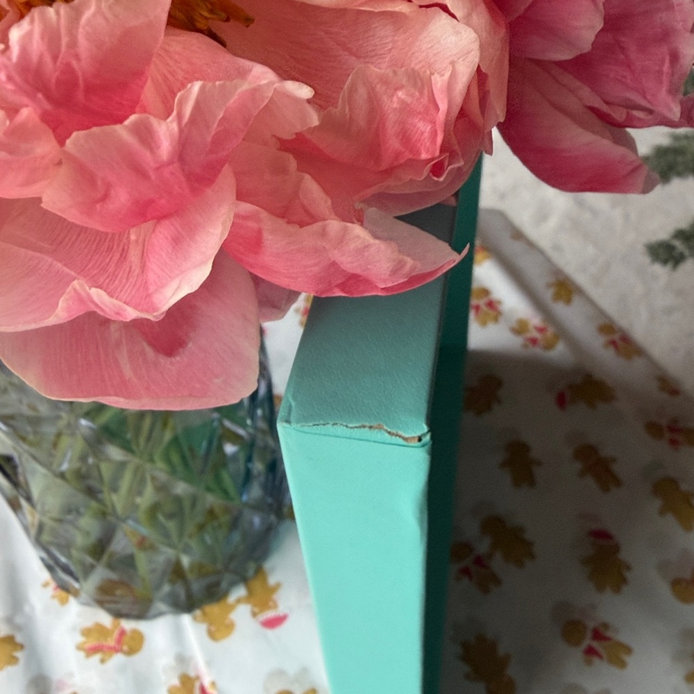 Tiffany & Co. Blue Box - Picture 14 of 15